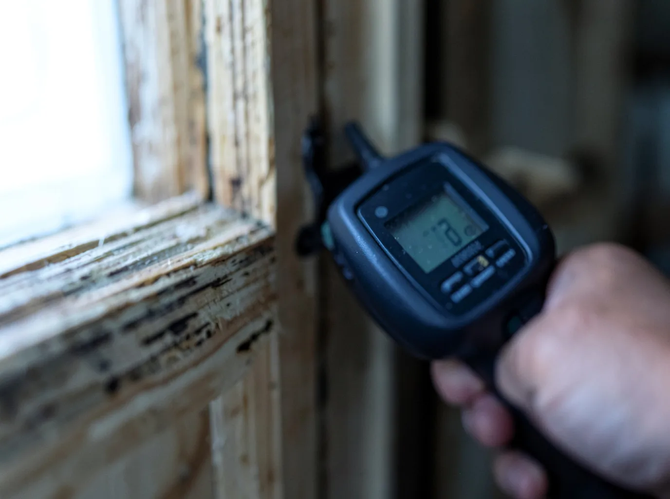 Moisture Inspection And Documentation in Cardale, PA